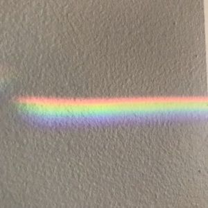 Meet your Posher, Dani